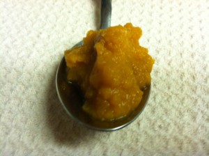 pumpkin