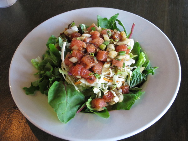 pokesalad0001