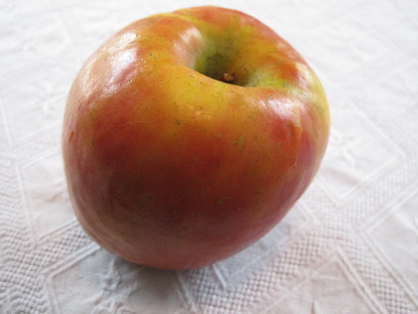 apple0001